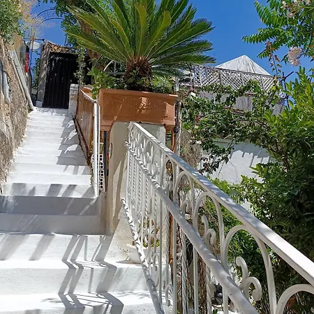 Rosita Amazing Positano